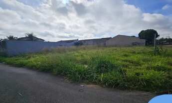 Imagem 4: TERRENO RESIDENCIAL em GOIÂNIA - GO, SETOR FAIÇALVILLE
