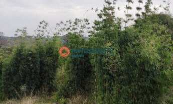 Imagem 6: Fazenda de 140 Alqueires . Mecaniza 79 Alqueires - Pinhão PR . R$ 7.000.000,00