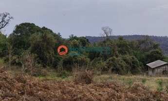 Imagem 7: Fazenda de 140 Alqueires . Mecaniza 79 Alqueires - Pinhão PR . R$ 7.000.000,00