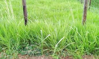 Imagem 4: Vende-se terreno 10x42 no Vilage Tiradentes (Próximo ao Reserva Amazônia