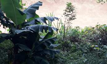 Imagem 4: Vendo sítio com 3 há!