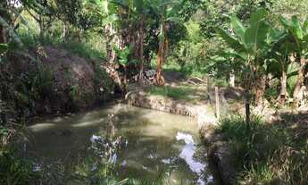 Imagem 3: Chácara Paraibuna 3 Km da tamoios