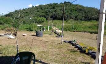 Imagem 6: Aceito oferta)Vendo sitio R$115.000