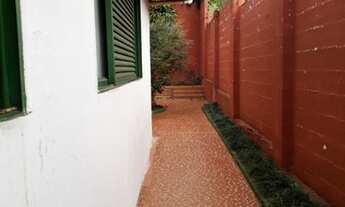 Imagem 6: Casa comercial com ampla área externa