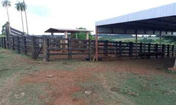 Imagem 6: Chácara de 18 hectares. com Córrego. 28 km de Campo Grande