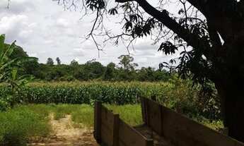 Imagem 7: Sítio 10ha localizado em Caetanópolis/MG