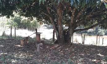 Imagem 3: Sítio 03 Hectares -Sítio Recanto do Lazer 03 Hectares