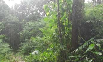 Imagem 5: Terreno para venda 10x50