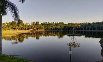 Imagem 4: Terreno em Sumaré - São Paulo - Cód. 7479