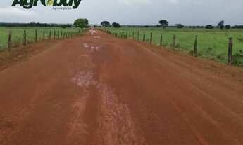 Imagem 2: Fazenda Com 195 Alqueires no Município de Peixe Região da Lagoa do Romão