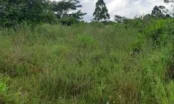 Imagem 7: Velleda oferece elegante sítio, na Águas Claras