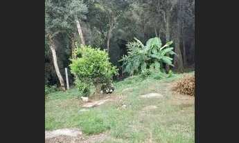 Imagem 3: Chácara em Quitandinha Paraná