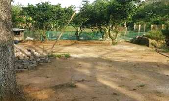 Imagem 3: Terreno para Venda - 0m², 0 dormitórios, Belém Novo