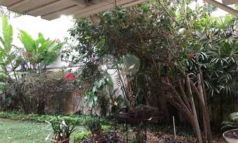 Imagem: São Paulo - Casa Padrão - ALTO DE PINHEIROS