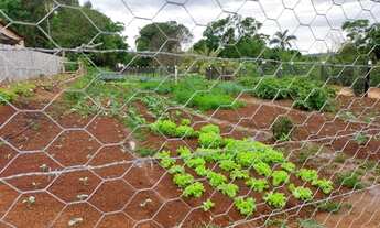 Imagem 2: Lindo sitio Chácara com venda por R$680.000