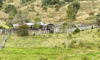 Imagem: Fazenda Boiadeira 410 hectares