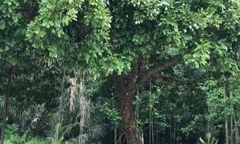 Imagem 6: Casa para aluguel bairro do Atalaia Salinópolis - Pará