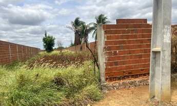 Imagem 10: Lote de Terreno : 902,00 m2. Dimensões 11.00 metros de frente por 82.00 metros de fundos