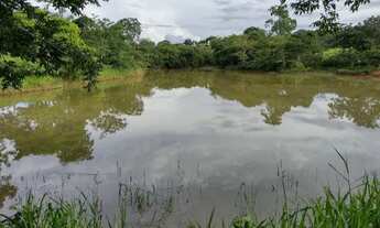 Imagem 7: Fazenda em Minas Gerais - Unaí 252ha