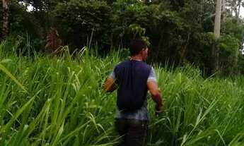Imagem 4: Vendo uma colônia de 632 hectares, com 35 hectares de pasto mais 40 hectare