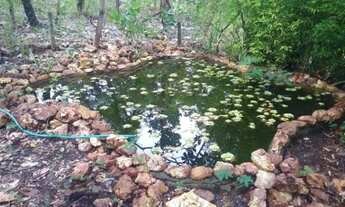 Imagem 6: Pertinho de Lagoa Santa, linda chácara de 20 mil m²,Jaboticatubas (Temos varias opções)