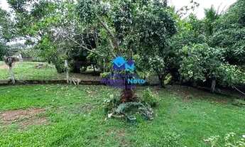 Imagem 6: Chácara com excelente localização próxima à cidade