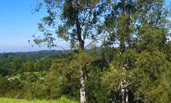 Imagem 3: De R$ 69.900 Por R$ 49.900 Sítio De 4.300 Metros Com Vista Panorâmica!. 1IR3TD3