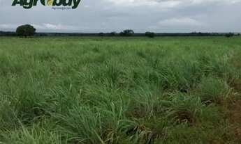 Imagem 4: Fazenda Com 195 Alqueires no Município de Peixe Região da Lagoa do Romão