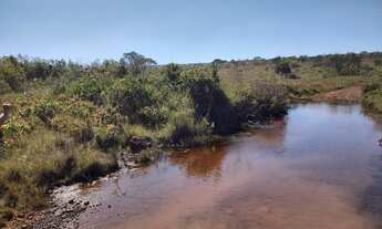 Imagem 6: FAZENDA PRA LARANJA COM 7.000HECTARES, BARATA!!