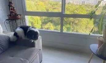 Imagem 5: Apartamento à venda, 2 quartos, 1 suíte, 1 vaga, Jardim Carvalho - Porto Alegre/RS