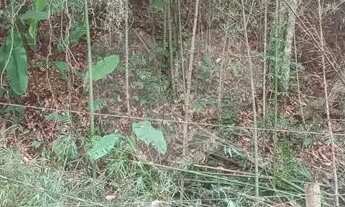 Imagem 6: Área de Terra à venda em Muriqui - RJ