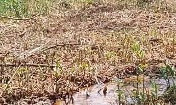 Imagem 2: Terreno com água em mateus leme