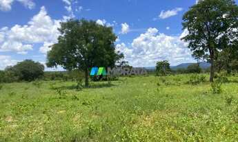 Imagem 5: FAZENDA À VENDA - 190 HECTARES - BURITIS (MG
