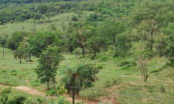 Imagem 7: FAZENDA Á VENDA 75 ALQUEIRES URUANA - GO