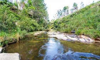 Imagem: Área São Luiz do Purunã - Witmarsum 31alq