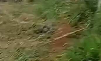 Imagem 4: Lote 400² com base pronta vivendas do vale Matheus leme