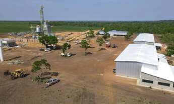 Imagem 2: Fazenda 1.192alqueires no TO. Aceita diamantes no pagamento 3 mil hect planta hoje