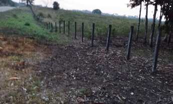 Imagem 6: Fazenda com 6.500.000m2 na AM-254 Careiro Castanho. Benfeitorias e Implementos Agrícolas