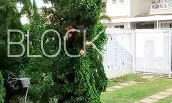 Imagem 5: Recreio dos Bandeirantes