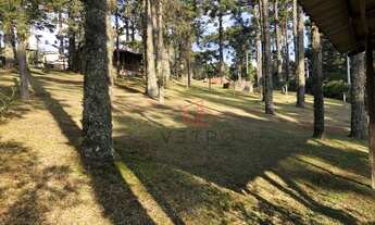 Imagem 2: Terreno à Venda em Canela!