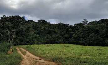 Imagem 4: Oportunidade Fazenda Bela Vista