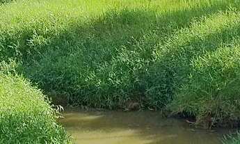 Imagem 11: Sítio a venda na região de São pedro sp