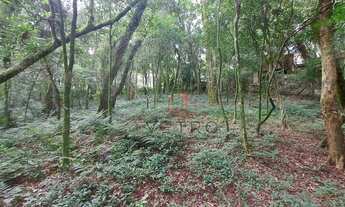 Imagem 4: Terreno à Venda em Canela!