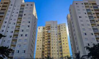 Imagem: Apartamento - Bonfim - Campinas