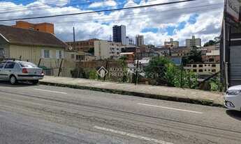 Imagem 3: Terreno no bairro Cristo Redentor