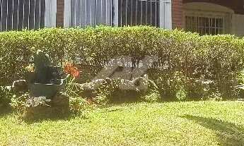 Imagem 2: Chácara - Dos Silvas - Morungaba - Morungaba