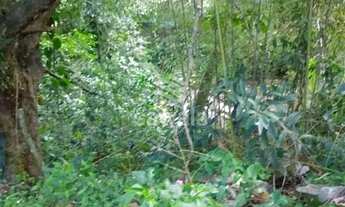 Imagem 6: Rural à venda com 6350,00m² e 2 quartos em Vargem Grande, Rio de Janeiro - RJ