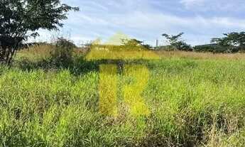 Imagem 6: TERRENO INDUSTRIAL em SÃO JOSÉ DO RIO PRETO - SP, DISTRITO INDUSTRIAL DOUTOR CARLOS ARNALD