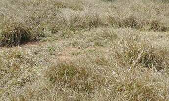 Imagem 5: Terreno à venda no Bairro do Rio Abaixo, na cidade de Tuiuti/SP