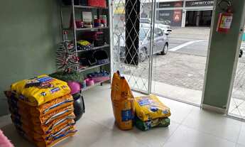 Imagem 6: VENDO AGROPECUÁRIA EM CAMBORIÚ